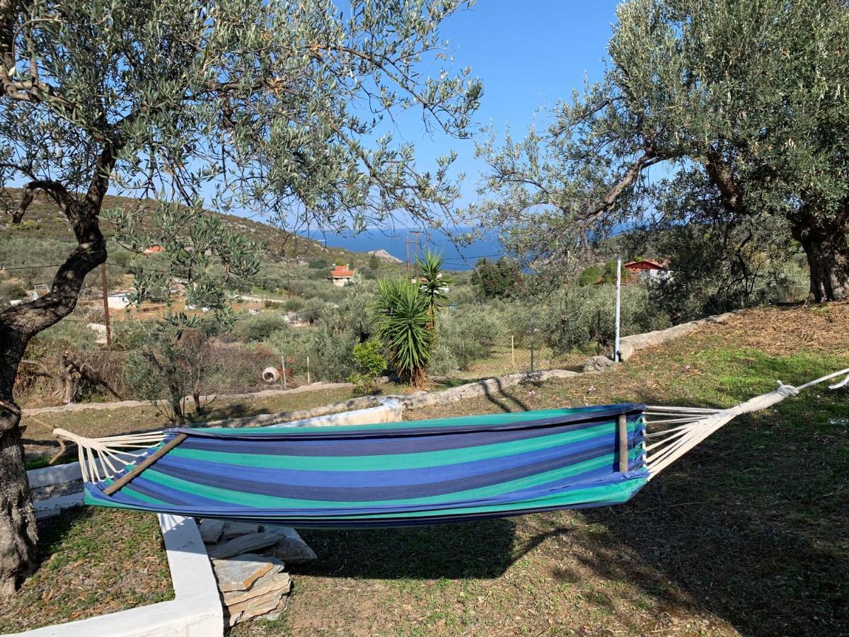 Willa Olive Hill Private House Poros Town Zewnętrze zdjęcie