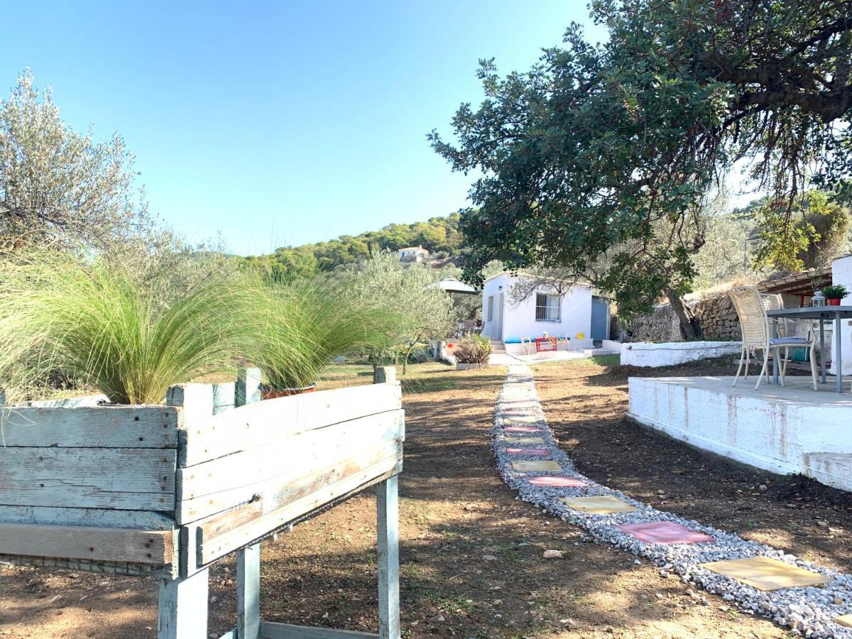 Willa Olive Hill Private House Poros Town Zewnętrze zdjęcie