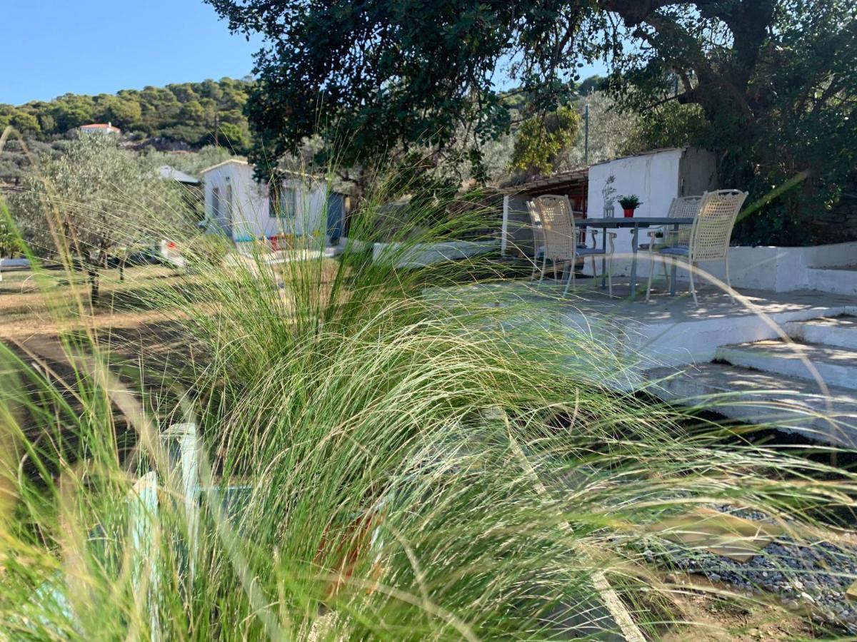 Willa Olive Hill Private House Poros Town Zewnętrze zdjęcie