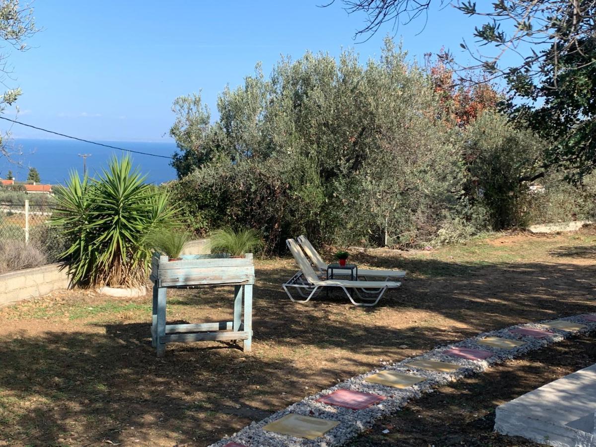 Willa Olive Hill Private House Poros Town Zewnętrze zdjęcie