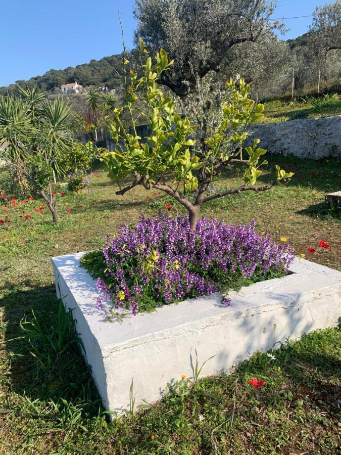 Willa Olive Hill Private House Poros Town Zewnętrze zdjęcie