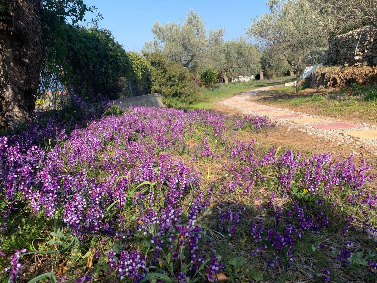 Willa Olive Hill Private House Poros Town Zewnętrze zdjęcie